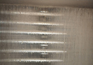 �L�C�P�ܳ�Ƭ��ϴǰ�DƬ