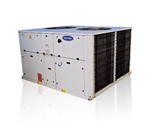 �_�����L�C�M�DƬ