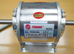 ���`�L�C�P��